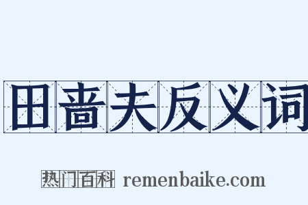 田啬夫反义词是什么意思的图片